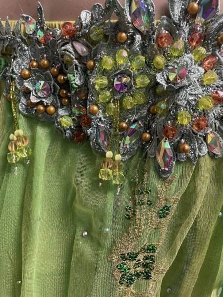 画像6: エジプトオリエンタルコスチューム ☆elegant lime green☆ (6)