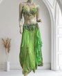 画像1: エジプトオリエンタルコスチューム ☆elegant lime green☆ (1)