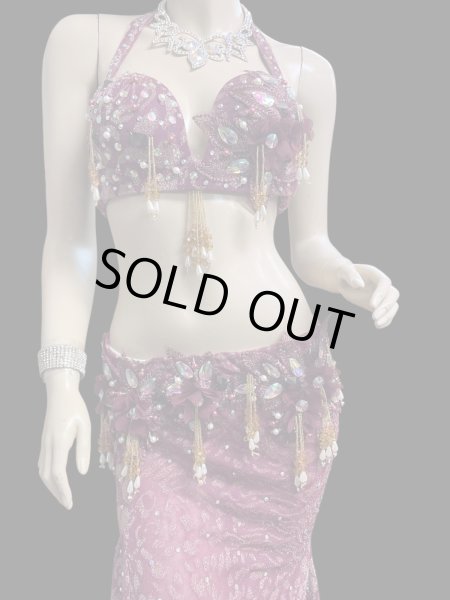 画像3: エジプトオリエンタルコスチューム  ☆red wine golden dream☆ (3)