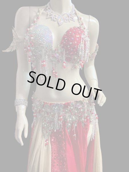 画像2: エジプトAmrオリエンタルコスチューム☆Romantic champagne red coral ☆ (2)