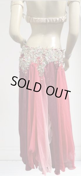 画像4: エジプトAmrオリエンタルコスチューム☆Sparkle  red passion ☆ (4)