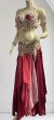 画像3: エジプトAmrオリエンタルコスチューム☆Sparkle  red passion ☆ (3)