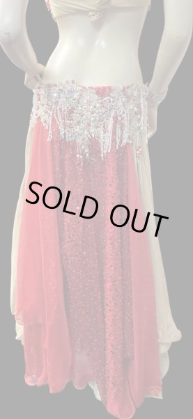 画像4: エジプトAmrオリエンタルコスチューム☆Romantic champagne red coral ☆ (4)