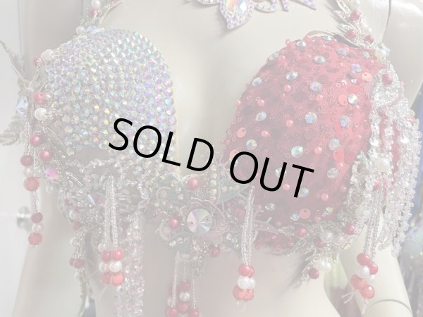 画像6: エジプトAmrオリエンタルコスチューム☆Romantic champagne red coral ☆ (6)