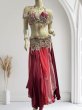画像1: エジプトAmrオリエンタルコスチューム☆Sparkle  red passion ☆ (1)
