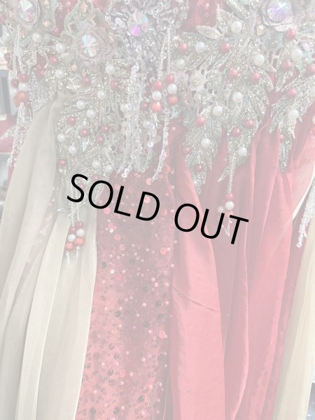 画像5: エジプトAmrオリエンタルコスチューム☆Romantic champagne red coral ☆ (5)