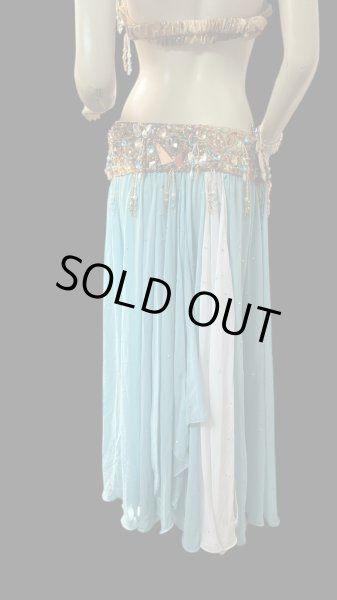 画像4: エジプトオリエンタルコスチューム ☆gold turquoise  celebration ☆ (4)