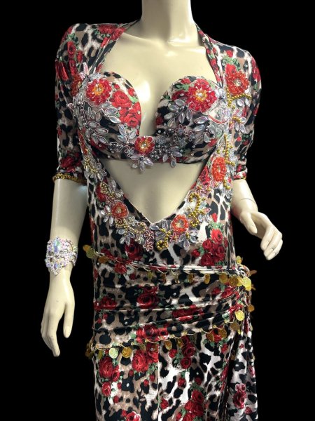 画像2: エジプト製プリントストレッチバラディドレス☆ black red rose ☆ (2)