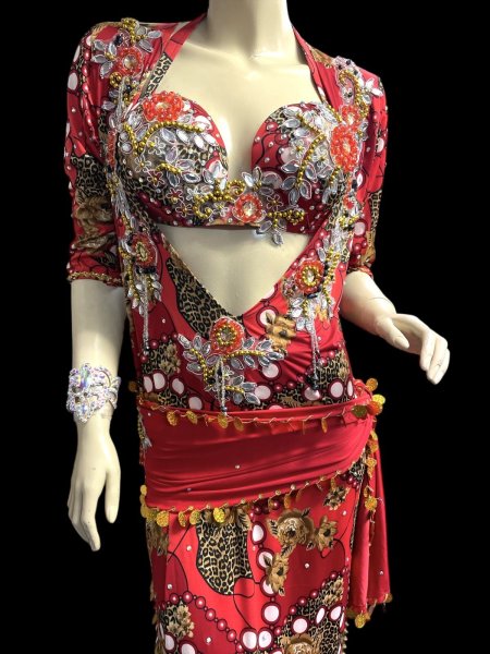 画像2: エジプト製プリントストレッチバラディドレス☆Red flower☆ (2)