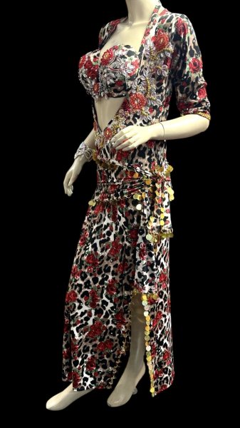 画像3: エジプト製プリントストレッチバラディドレス☆ black red rose ☆ (3)