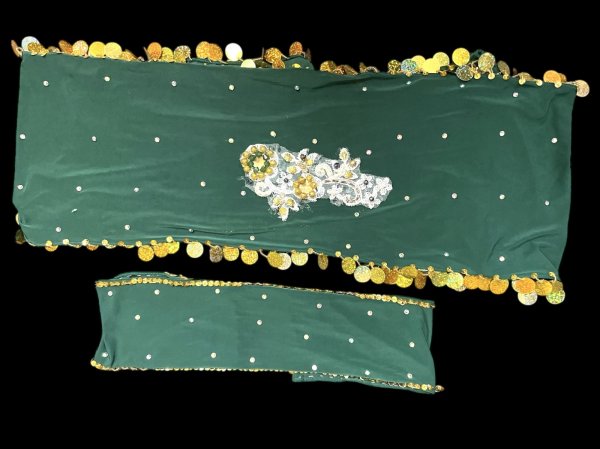 画像6: エジプト製プリントストレッチバラディドレス☆green stripe flower☆ (6)