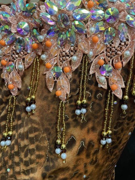 画像5: エジプトオリエンタルコスチューム☆orange animal print sunset ☆ (5)