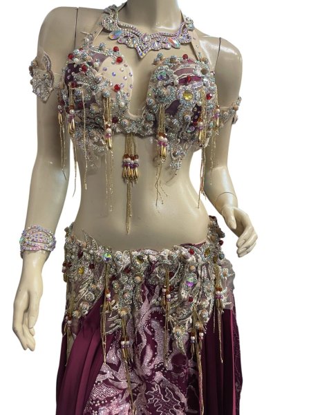 画像3: エジプトAmrオリエンタルコスチューム☆ Red wine golden dream☆ (3)