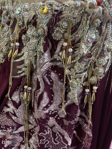 画像7: エジプトAmrオリエンタルコスチューム☆ Red wine golden dream☆ (7)