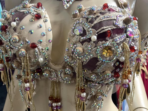 画像6: エジプトAmrオリエンタルコスチューム☆ Red wine golden dream☆ (6)