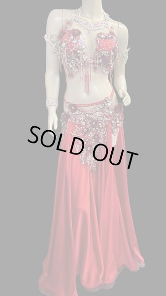 画像2: エジプトAmrオリエンタルコスチューム☆Red fluffy flower ☆ (2)