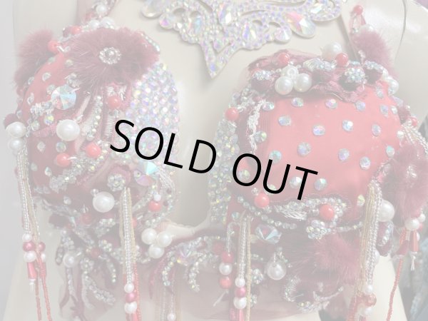 画像6: エジプトAmrオリエンタルコスチューム☆Red fluffy flower ☆ (6)