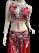 画像3: エジプトAmrオリエンタルコスチューム☆Red fluffy flower ☆ (3)