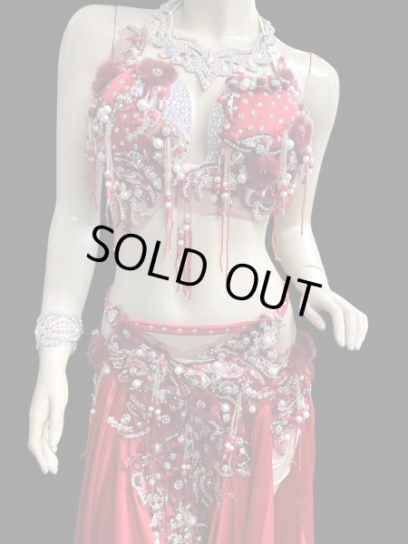 画像3: エジプトAmrオリエンタルコスチューム☆Red fluffy flower ☆ (3)