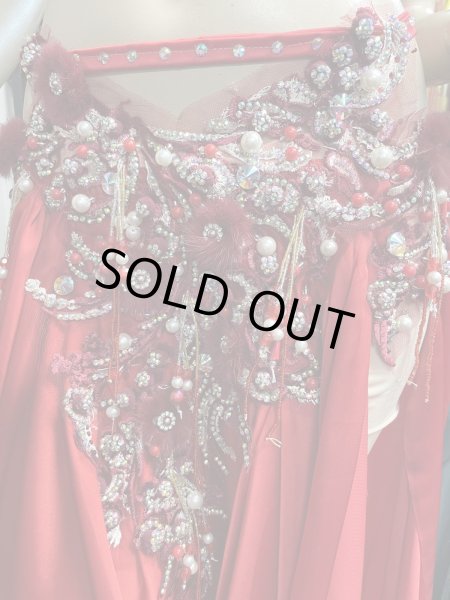 画像7: エジプトAmrオリエンタルコスチューム☆Red fluffy flower ☆ (7)