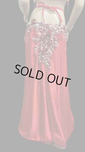 画像5: エジプトAmrオリエンタルコスチューム☆Red fluffy flower ☆ (5)